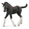 DAM - Figurine de collection - Collecta - Chevaux - Poulain Shire Horse Noir - (M)