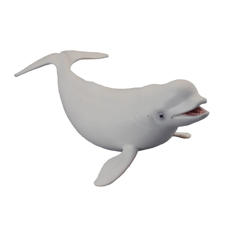 DAM - Figurine de collection - Collecta - Animaux marins - Beluga - (L)