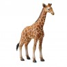 DAM - Figurine de collection - Collecta - Animaux sauvages - Veau de Girafe - (L)