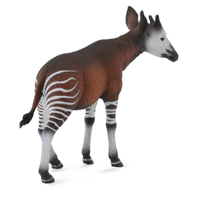 DAM - Figurine de collection - Collecta - Animaux sauvages - Okapi - (L)