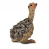 DAM - Figurine de collection - Collecta - Animaux sauvages - Poussin D'Autruche - (S)