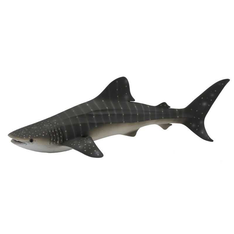 DAM - Figurine de collection - Collecta - Animaux marins - Requin-Baleine - (XL)