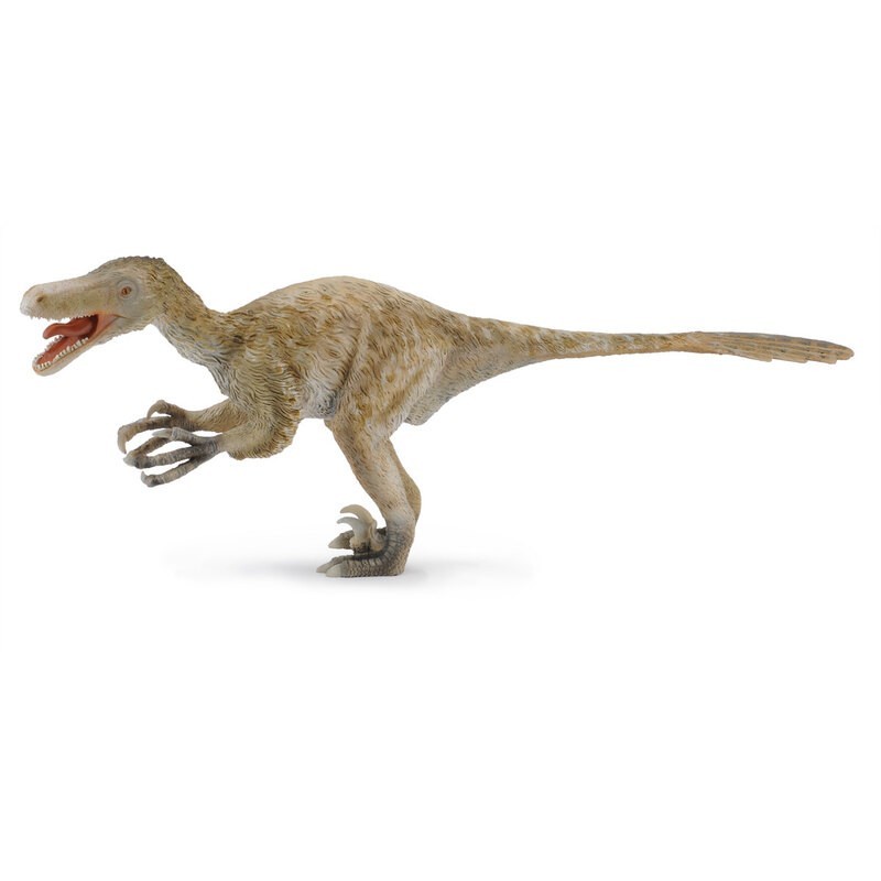 DAM - Figurine de collection - Collecta - Préhistoire - Velociraptor - 1:6