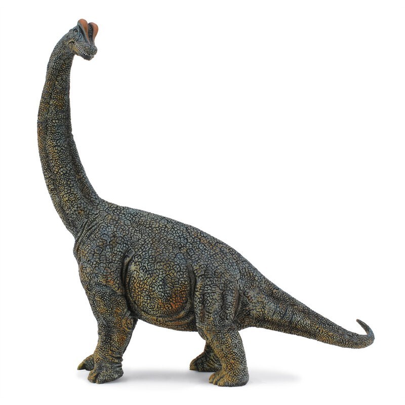 DAM - Figurine de collection - Collecta - Préhistoire - Scale Brachiosaurus - 1:40