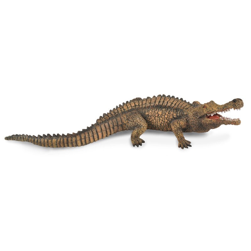 DAM - Figurine de collection - Collecta - Préhistoire - Sarcosuchus - (XL)