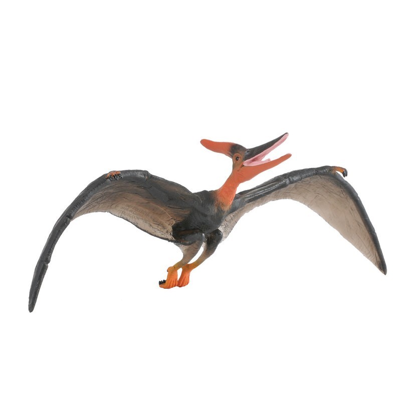 DAM - Figurine de collection - Collecta - Préhistoire - Pteranodon - 1:40