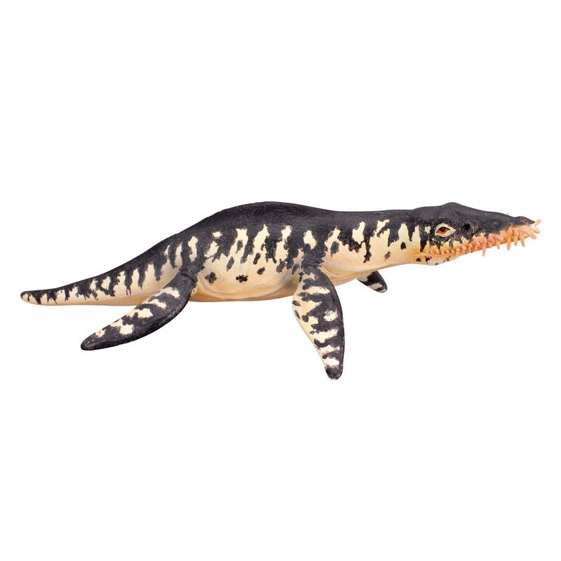 DAM - Figurine de collection - Collecta - Préhistoire - Liopleurodon - (L)