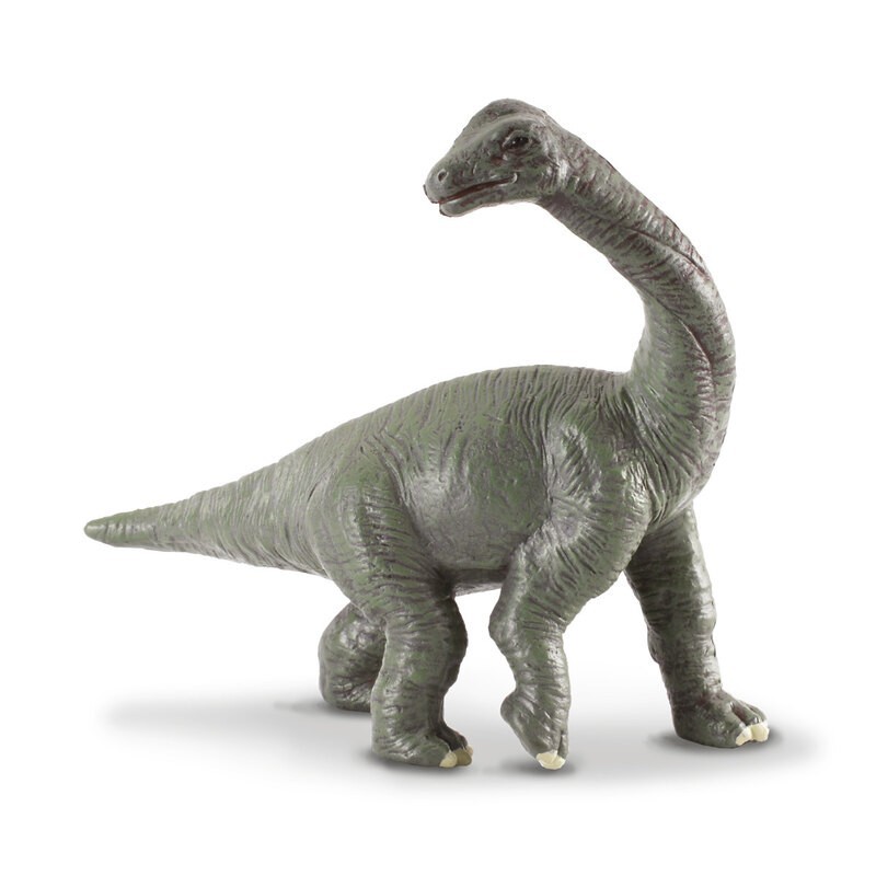 DAM - Figurine de collection - Collecta - Préhistoire - Bébé Brachiosaure - (S)