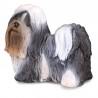 DAM - Figurine de collection - Collecta - Chiens et Chats - Shih Tzu - (M)