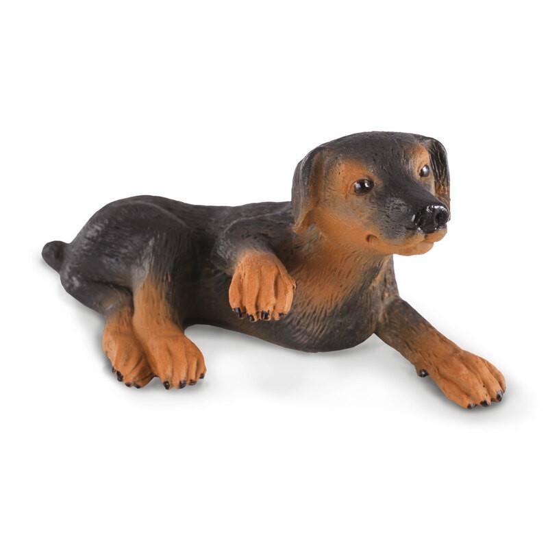 DAM - Figurine de collection - Collecta - Chiens et Chats - Chiot Dobermann - (S)