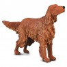 DAM - Figurine de collection - Collecta - Chiens et Chats - Setter Irlandais - (L)