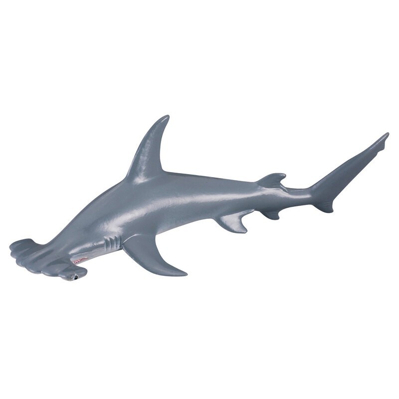 DAM - Figurine de collection - Collecta - Animaux marins - Requin-Marteau - (M)