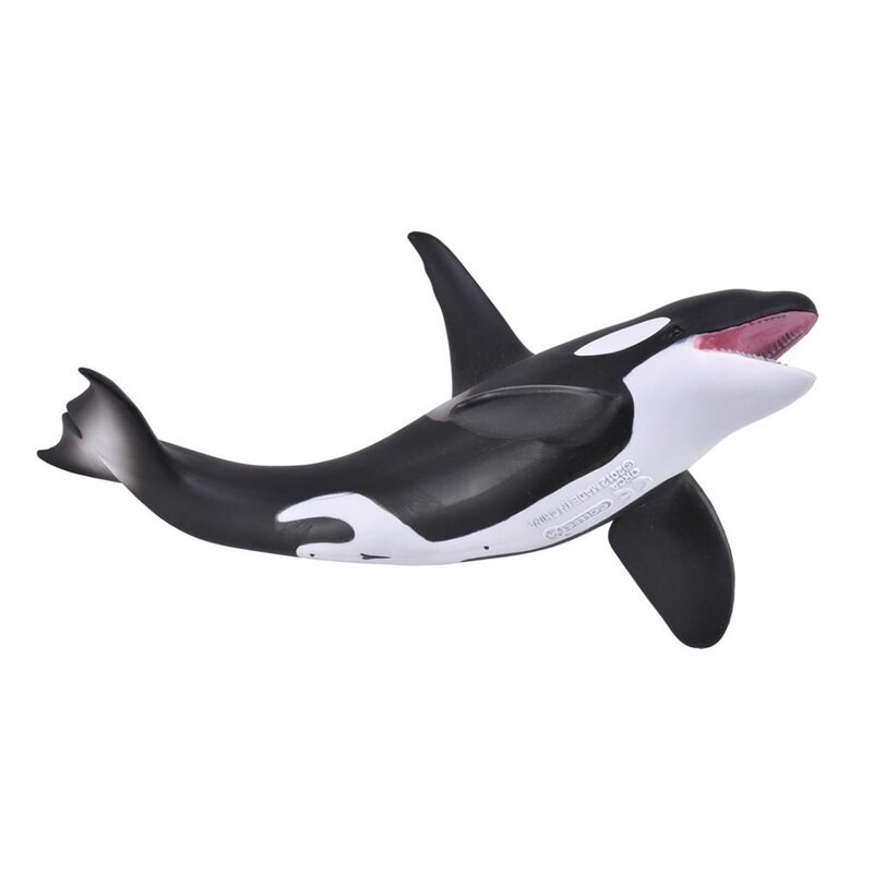 DAM - Figurine de collection - Collecta - Animaux marins - Epaulard - (XL)