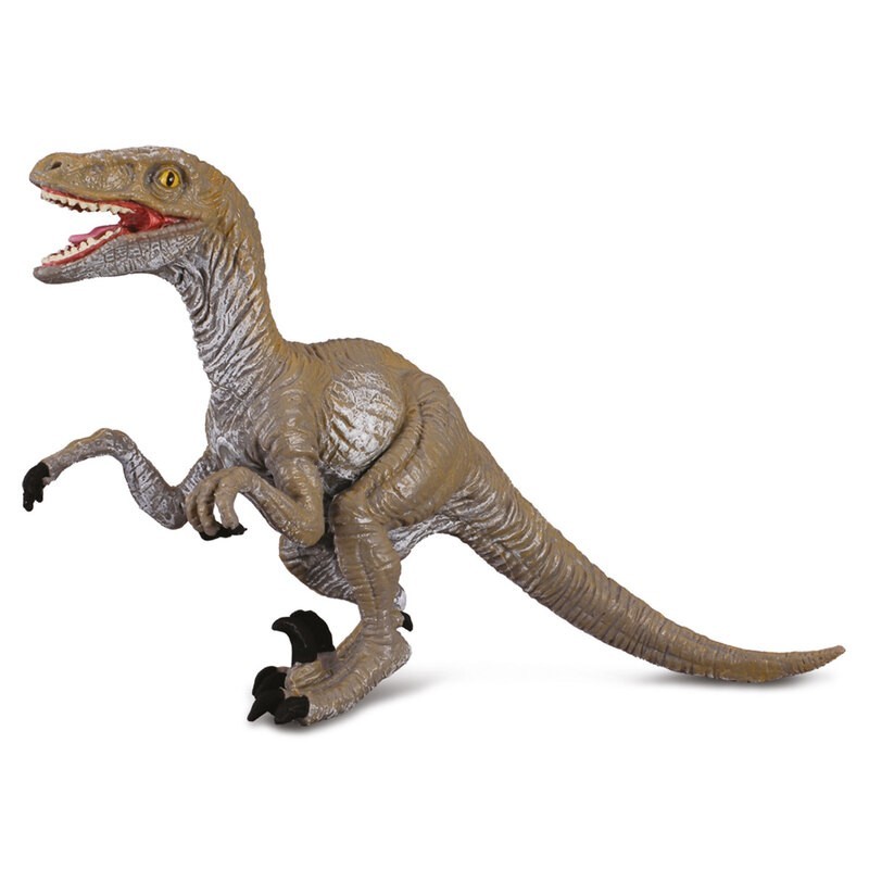 DAM - Figurine de collection - Collecta - Préhistoire - Velociraptor - (M)