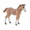 DAM - Figurine de collection - Collecta - Chevaux - Poulain Quarter Alezan