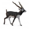 DAM - Figurine de collection - Collecta - Animaux sauvages - Antilope