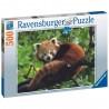 Ravensburger - Puzzle 500 pièces - Adorable Panda roux