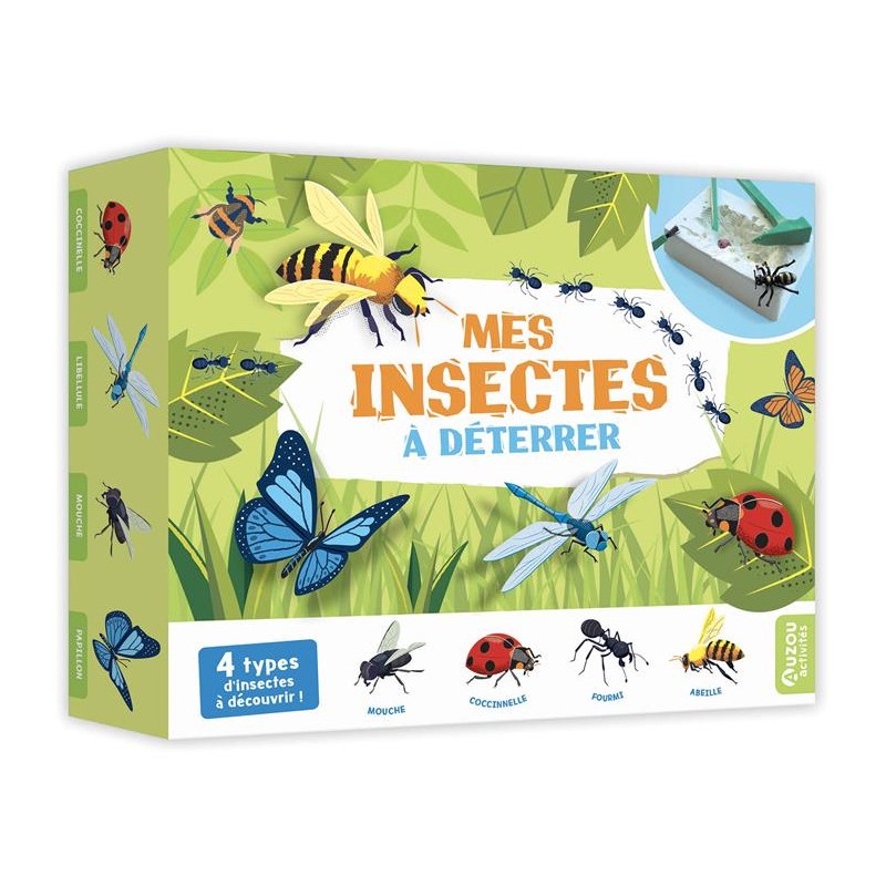 Auzou - Mes insectes à déterrer