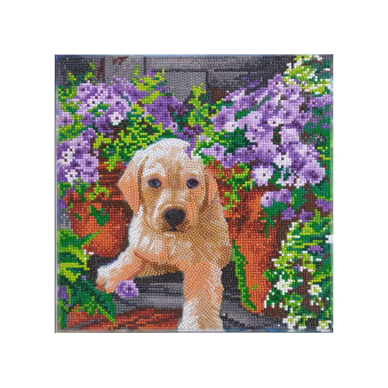 OZ - Loisirs créatifs - Crystal Art - Kit tableau broderie diamant 30x30cm - Chien & fleurs