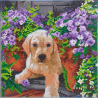 OZ - Loisirs créatifs - Crystal Art - Kit tableau broderie diamant 30x30cm - Chien & fleurs