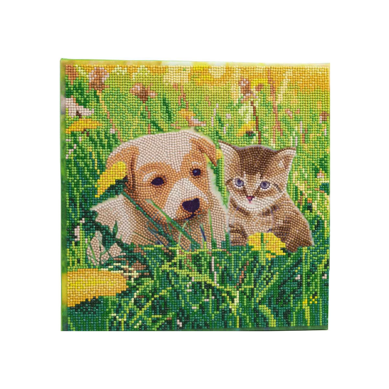 OZ - Loisirs créatifs - Crystal Art - Kit tableau broderie diamant 30x30cm - Chat & chien pré