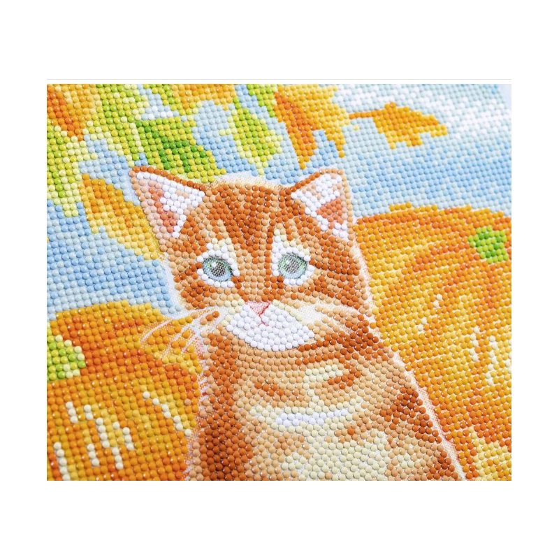 OZ - Loisirs créatifs - Crystal Art - Kit tableau broderie diamant 30x30cm - Chat et citrouilles