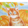 OZ - Loisirs créatifs - Crystal Art - Kit tableau broderie diamant 30x30cm - Chat et citrouilles