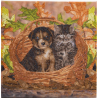 OZ - Loisirs créatifs - Crystal Art - Kit tableau broderie diamant 30x30cm - Chat & chien panier