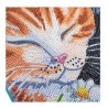 OZ - Loisirs créatifs - Crystal Art - Kit tableau broderie diamant 30x30cm - Chats dormeurs