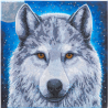 OZ - Loisirs créatifs - Crystal Art - Kit tableau broderie diamant 30x30cm - Loup au clair de lune