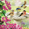 OZ - Loisirs créatifs - Crystal Art - Kit carte broderie diamant 18x18cm - Baignade oiseaux