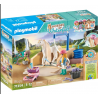 Playmobil - 71354 - Waterfall - Isabella et Lioness avec aire de lavage