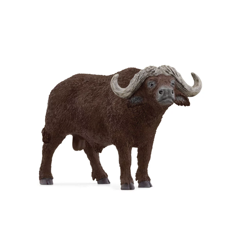 Schleich - 14872 - Wild Life - Buffle d?Afrique