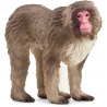 Schleich - 14871 - Wild Life - Macaque japonais