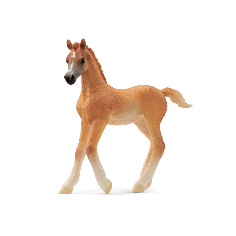 Schleich - 13984 - Horse Club - Poulain Arabe