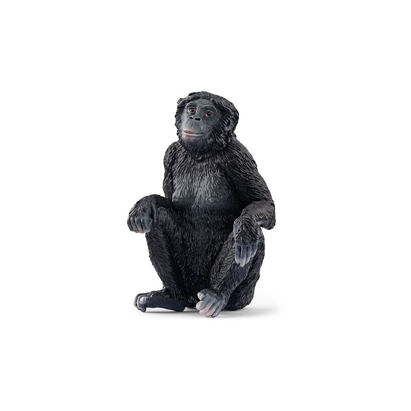 Schleich - 14875 - Wild Life - Femelle Bonobo