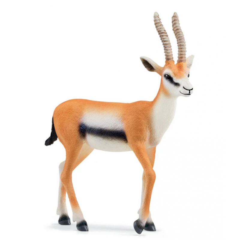 Schleich - 14861 - Wild life - Gazelle de Thomson