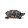 Papo - 50309 - Animaux marins - Tortue de Floride