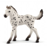 Schleich - 13890 - Chevaux - Poulain Knabstrupper