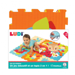 Ludimousse - 9 Dalles tapis...