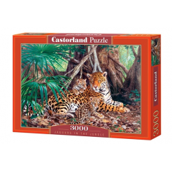 Castorland - Puzzle 3000...