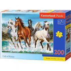 Castorland - Puzzle 200...