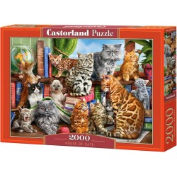 Castorland - Puzzle 2000...