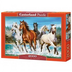 Castorland - Puzzle 2000 pièces - L'appel de la nature