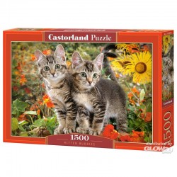 Castorland - Puzzle 1500...