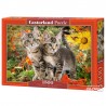 Castorland - Puzzle 1500 pièces - Chatons amis