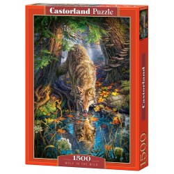 Castorland - Puzzle 1500...