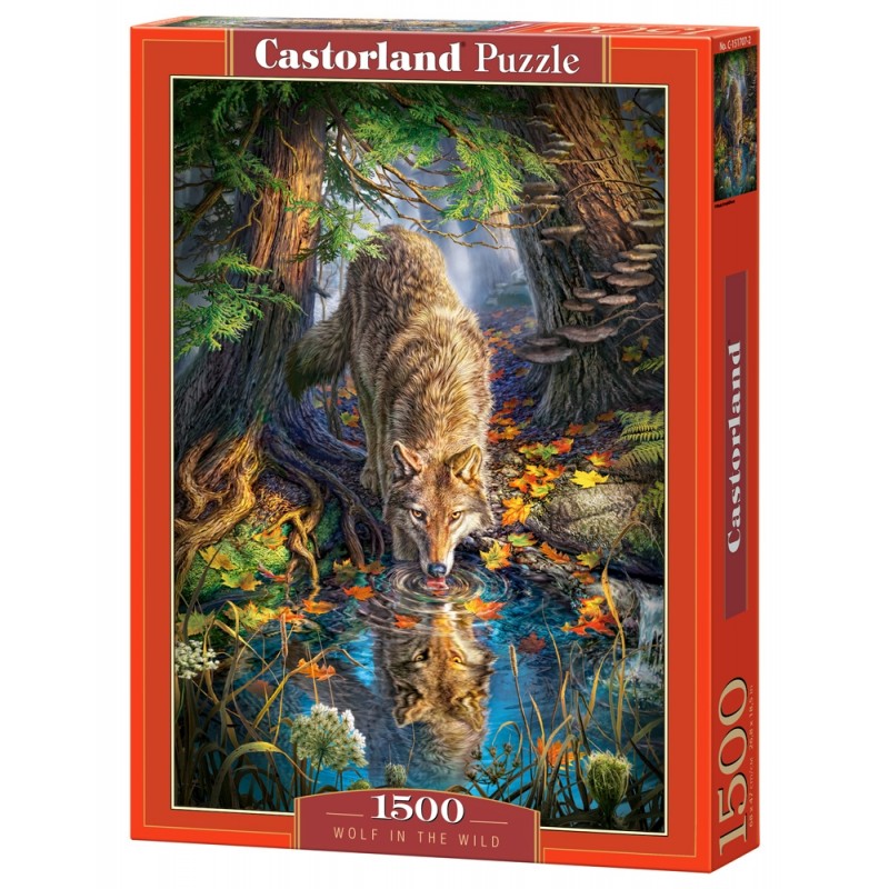 Castorland - Puzzle 1500 pièces - Loup dans la nature