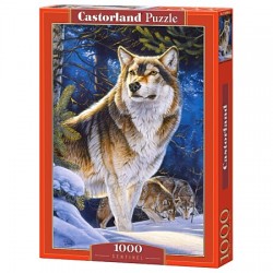 Castorland - Puzzle 1000...