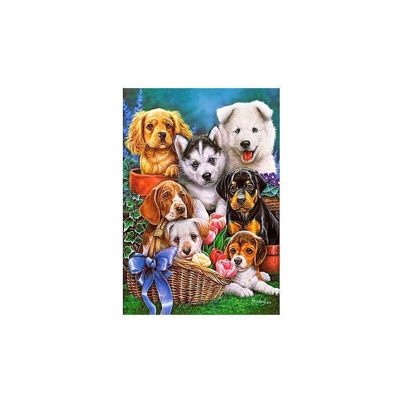 Castorland - Puzzle 1000 pièces - Chiots